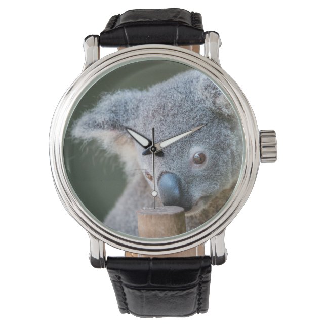 Australien Koala Bear Classic Uhr (Vorderseite)