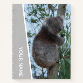 Australien Koala in einem Eukalyptusbaum, Silber Notizbuch