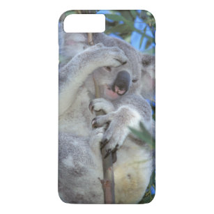 Australien, Koala Phasclarctos Cinereus) Case-Mate iPhone Hülle
