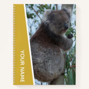 Australien Koala Portrait Foto, Gold Notizbuch