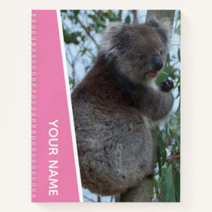 Australien Koala Portrait Foto, Pink Girls Notizbuch