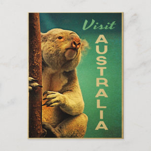 Australien Koala Postkarte