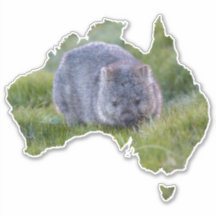 Australien Kontur Form Niedliche Wombat Tasmanie