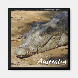 Australien, Krokodil, Bush (Magnet) Magnet