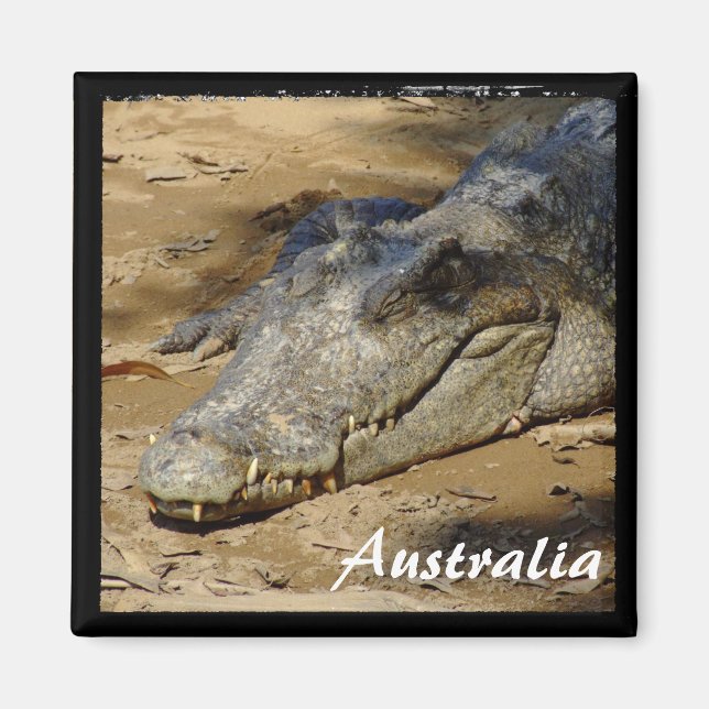 Australien, Krokodil, Bush (Magnet) Magnet (Vorne)