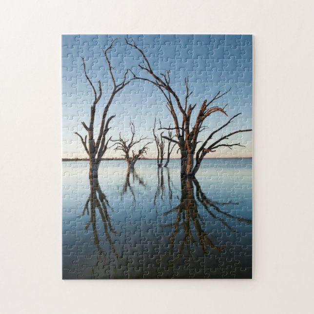 Australien, Murray River Valley, Barmera, Lake (Vertikal)