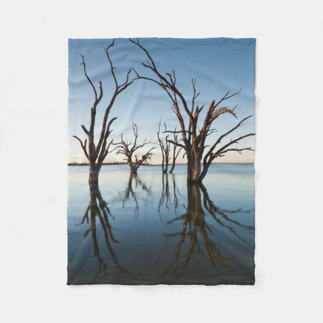 Australien, Murray River Valley, Barmera, Lake Fleecedecke (Vorderseite)