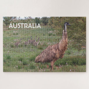 Australien: Pater-Emu und Küken, Outback
