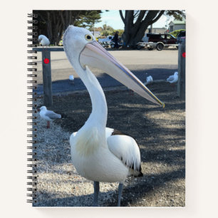 Australien; Pelikan - Reisen Notizbuch