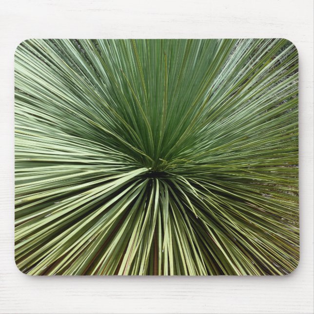 Australien Pflanze - abstrakt Mousepad (Vorne)