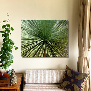 Australien Pflanze - abstrakt Poster