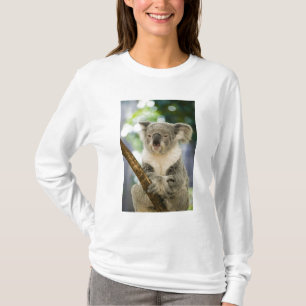 Australien, Queensland, Brisbane, Feigenbaum T-Shirt