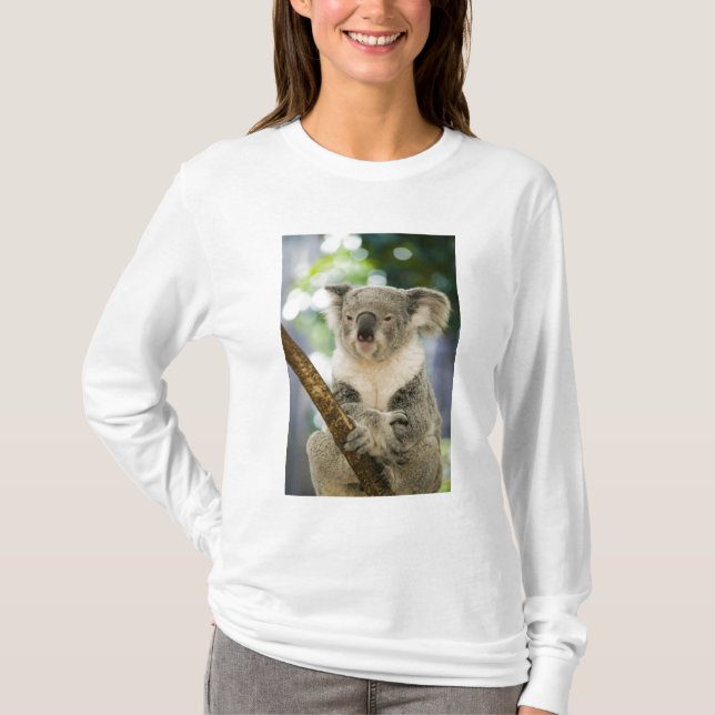 Australien, Queensland, Brisbane, Fig Tree T-Shirt (Vorderseite)