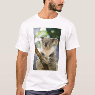Australien, Queensland, Brisbane, Fig Tree T-Shirt