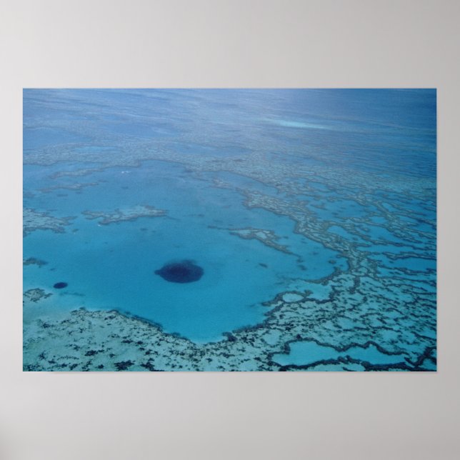 Australien, Queensland. Great Barrier Reef Poster (Vorne)