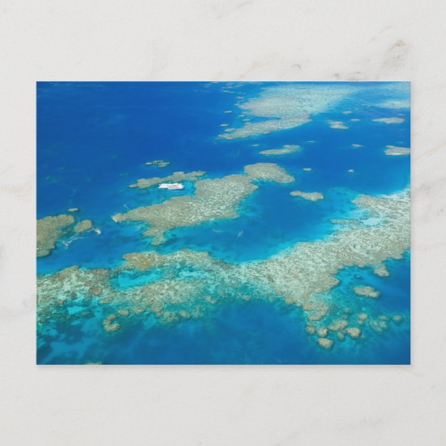 Australien, Queensland, Nordküste, Cairns 3 Postkarte (Vorderseite)