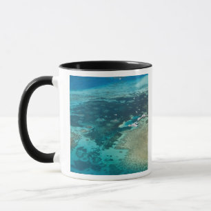Australien, Queensland, Nordküste, Cairns Tasse