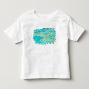 Australien, Queensland, Whitsunday-Küste, Great 7 Kleinkind T-shirt