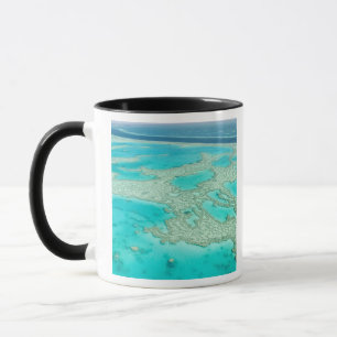 Australien, Queensland, Whitsunday-Küste, Great 7 Tasse