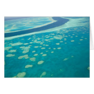 Australien, Queensland, Whitsunday-Küste, Groß 4