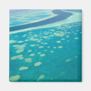 Australien, Queensland, Whitsunday-Küste, Groß 4 Magnet