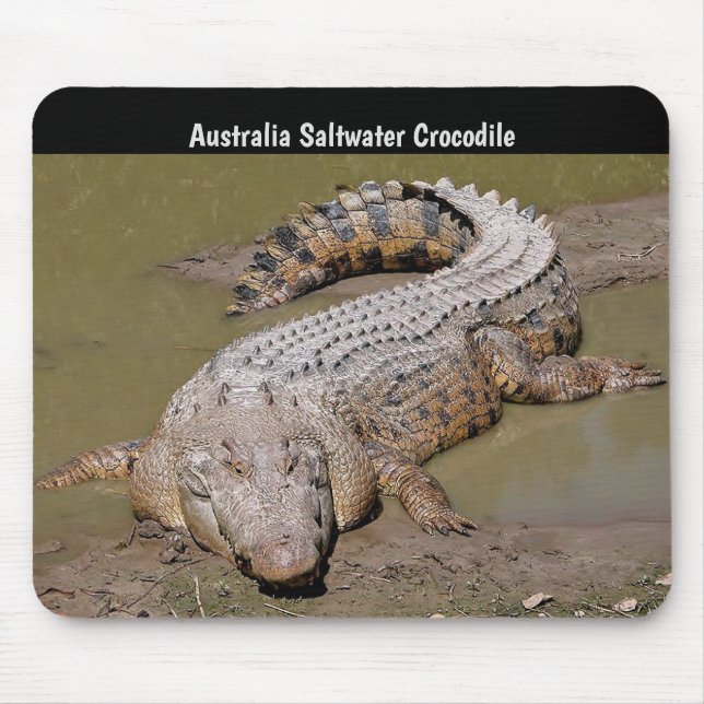 Australien-Salzwasser-Krokodil Mousepad (Vorne)