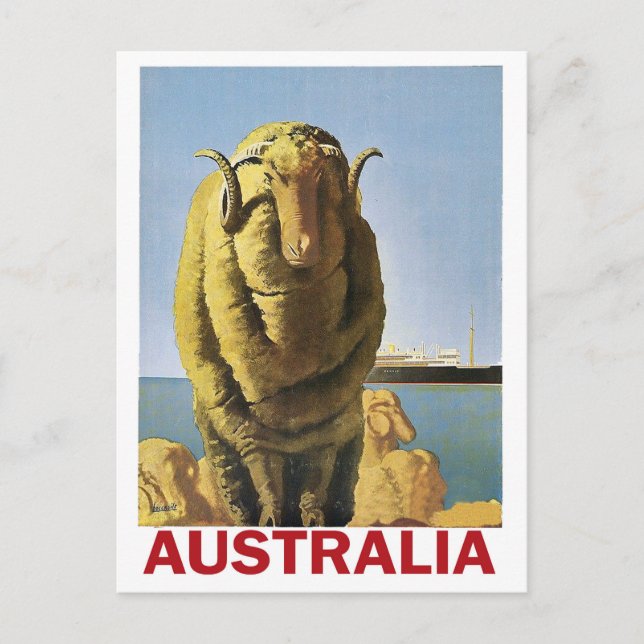 Australien, Schafe an der Küste Postkarte (Vorderseite)