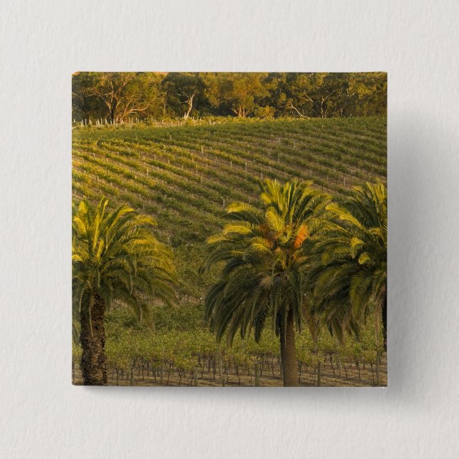 Australien, Südaustralien, Barossa-Tal, Button (Vorderseite)