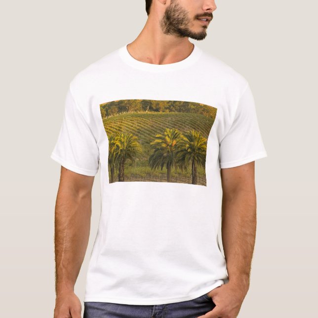 Australien, Südaustralien, Barossa-Tal, T-Shirt (Vorderseite)