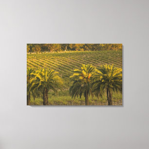 Australien, Südaustralien, Barossatal, Leinwanddruck