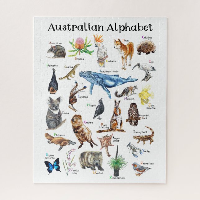 Australien Tiere Alphabet (Vertikal)