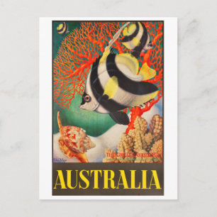 Australien, tropischer Fisch am Great Barrier Reef Postkarte