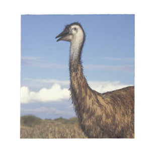 Australien, Westaustralien. Emu (Dromaius Notizblock