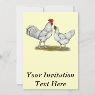 Australien White Chickens Einladung