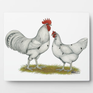 Australien White Chickens Fotoplatte