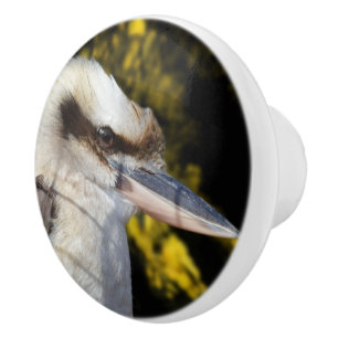 Australiens lachender Vogel, der Kookaburra, Keramikknauf