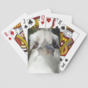 Australier Kookaburra Spielkarten