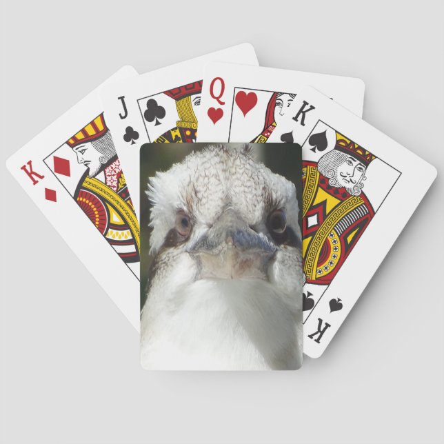 Australier Kookaburra Spielkarten (Rückseite)