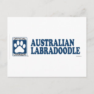 Australier Labradoodle Blau Postkarte