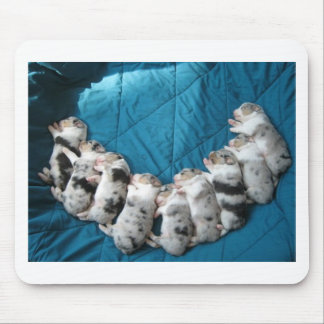 Australier lassen mich lächeln mousepad