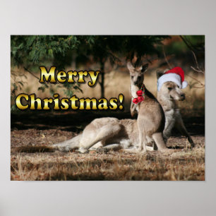 Australische Art-Weihnachtskänguruhs Poster
