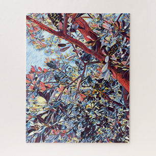 Australische Banksia-Pflanze