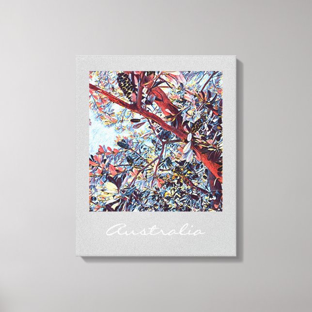 Australische Banksia-Pflanze Leinwanddruck (Vorderseite)