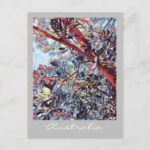 Australische Banksia-Pflanze Postkarte
