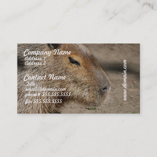 Australische Capybara-Visitenkarten Visitenkarte (Vorderseite)