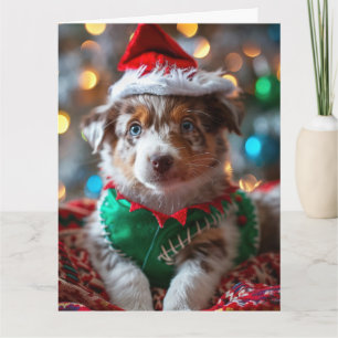 Australische Cattle Dog Elf Welpe Christmas Card Karte