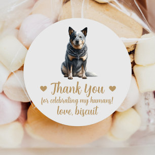 Australische Cattle Dog Hochzeitsgeschenk-Aufklebe Runder Aufkleber