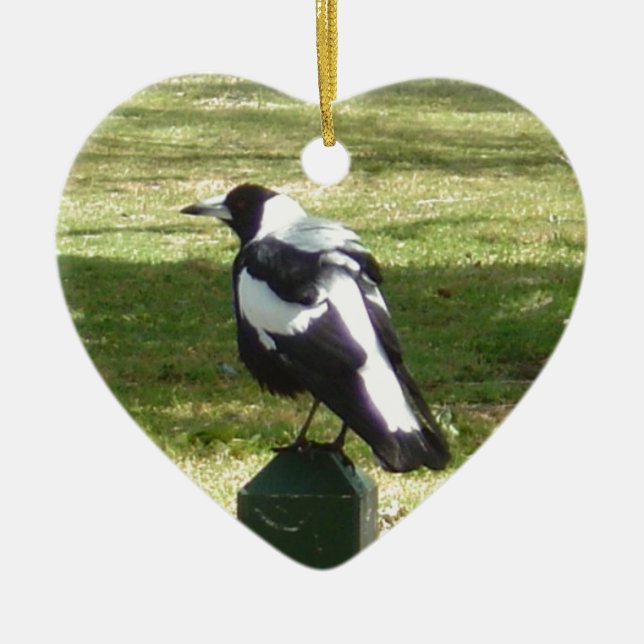 Australische Elster Keramikornament (Vorne)