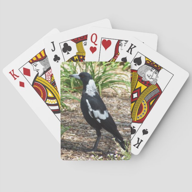 Australische Elster-Spielkarten Spielkarten (Rückseite)