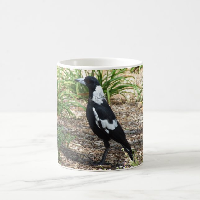 Australische Elster-Tasse Kaffeetasse (Mittel)